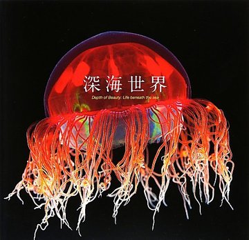深海世界