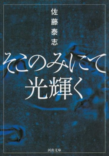そこのみにて光輝く (河出文庫)