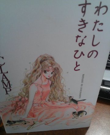 わたしのすきなひと (Young rose comics DX)