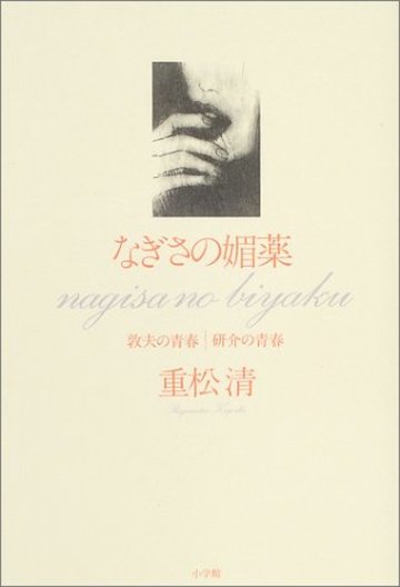 なぎさの媚薬―敦夫の青春|研介の青春