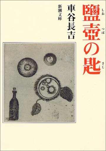 塩壷の匙 (新潮文庫)