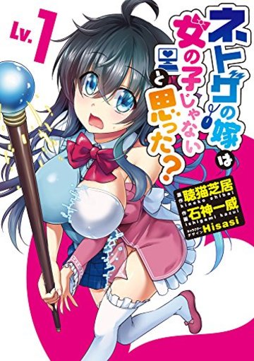 ネトゲの嫁は女の子じゃないと思った? Lv.1 (電撃コミックスNEXT)