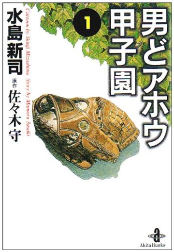 男どアホウ甲子園 (1) (秋田文庫)