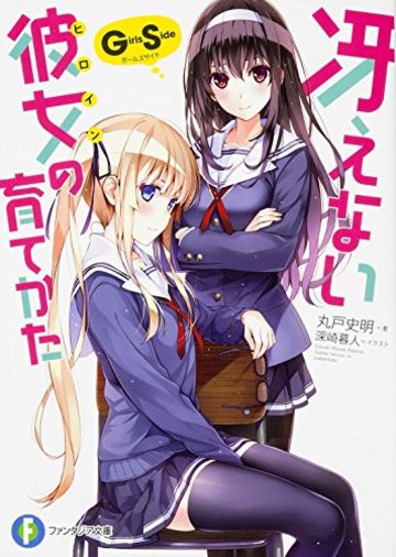 冴えない彼女の育てかた Girls Side (富士見ファンタジア文庫)