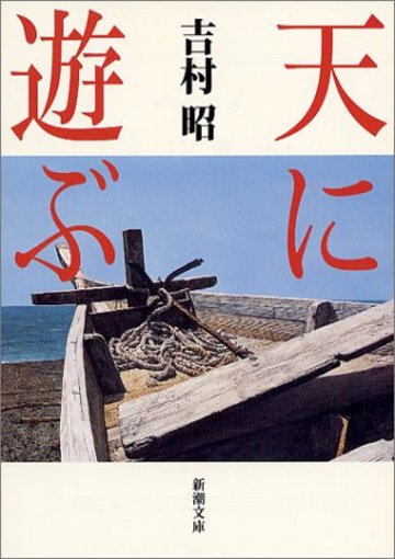 天に遊ぶ (新潮文庫)