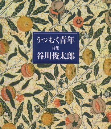 詩集 うつむく青年