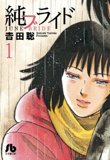 純ブライド 1 (小学館文庫 よG 4)
