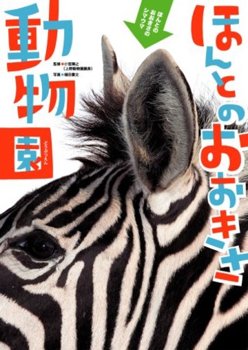 動物図鑑おすすめ5選 子どもから大人まで 生き物に親しめる本