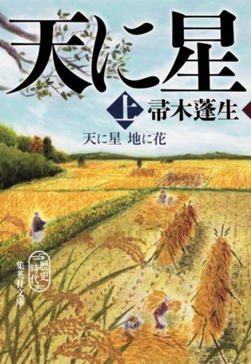 天に星 地に花 上 (集英社文庫)