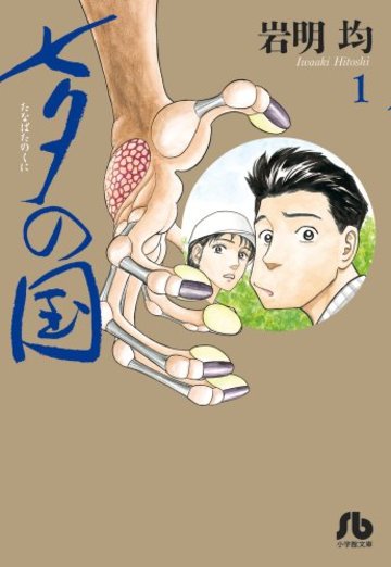 七夕の国 1 (小学館文庫 いK 1)