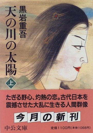天の川の太陽〈上〉 (中公文庫)