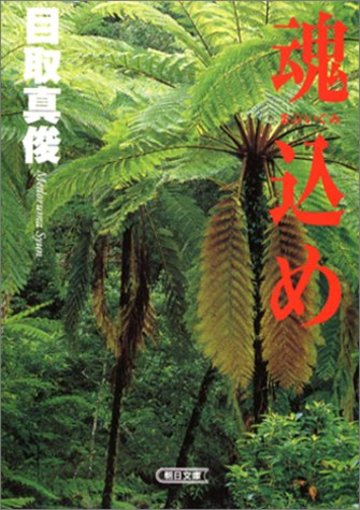 魂込め(まぶいぐみ) (朝日文庫)