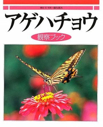 アゲハ蝶の幼虫の育て方をご紹介 餌やりから参考になる本まで 教養も ホンシェルジュ