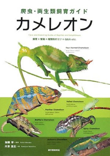 爬虫・両生類飼育ガイド カメレオン―飼育+繁殖+種類別のコツ+Q&A etc.