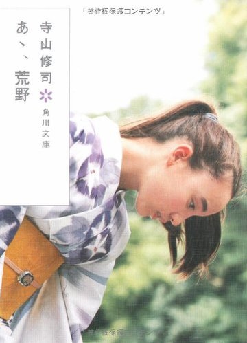 あゝ、荒野 (角川文庫)