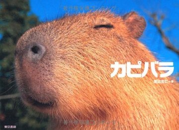 カピバラ