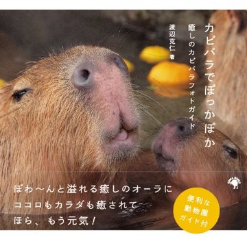 カピバラでぽっかぽか~癒しのカピバラフォトガイド~