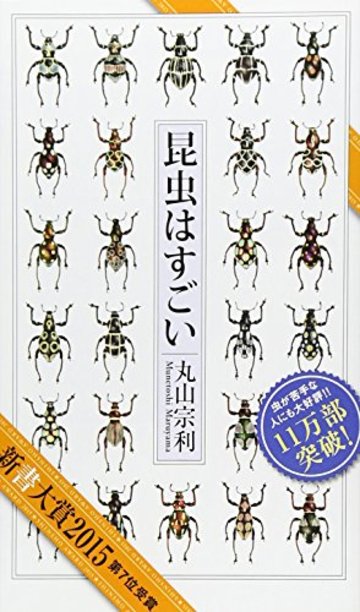 5分でわかるタマムシの生態 種類ごとの特徴や 採集 飼育方法を解説 教養も ホンシェルジュ