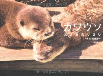 カワウソ