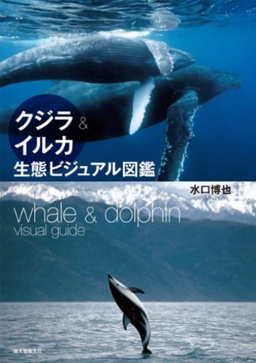 クジラ&イルカ生態ビジュアル図鑑