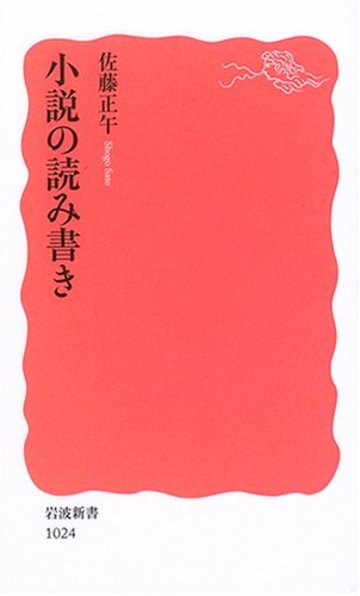 小説の読み書き (岩波新書)