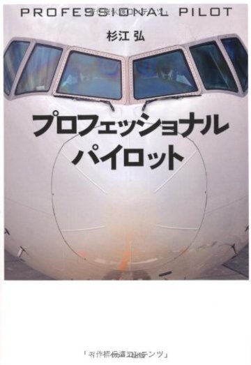 パイロットになるには 5分で分かる 仕事内容や年収 資格など ビジネス 経済も ホンシェルジュ