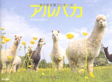 アルパカ ALPACA