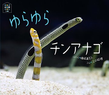 ゆらゆらチンアナゴ (ほるぷ水族館えほん)