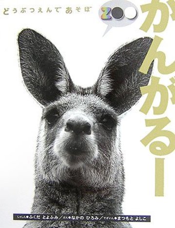 どうぶつえんであそぼ かんがるー