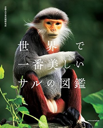 5分でわかるリスザルの生態 飼育の方法や性格などをわかりやすく解説