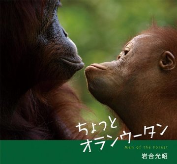 ちょっとオランウータン