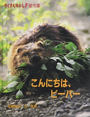 こんにちは、ビーバー (たくさんのふしぎ傑作集)