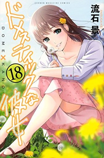 ドメスティックな彼女(18) (講談社コミックス)