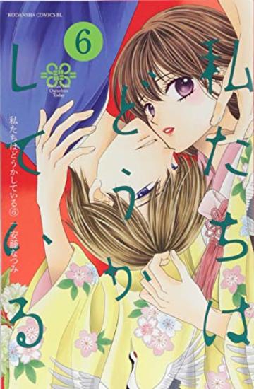 私たちはどうかしている(6) (BE LOVE KC)