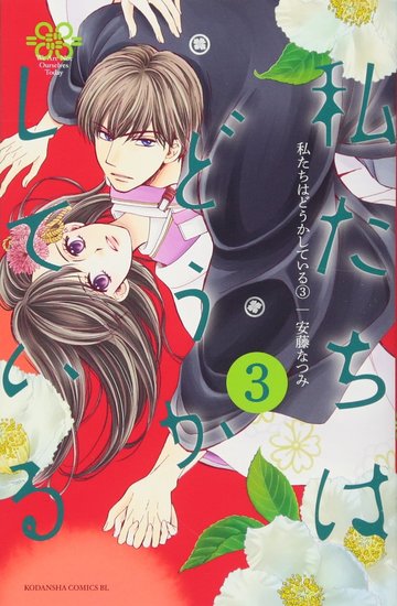 私たちはどうかしている(3) (BE LOVE KC)