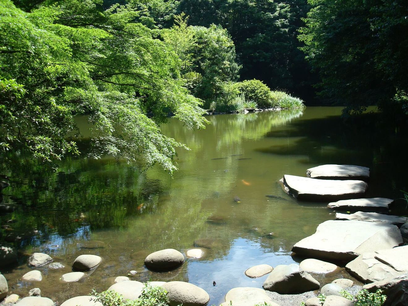 中野重治のおすすめ本5選!詩人としても名高い作家