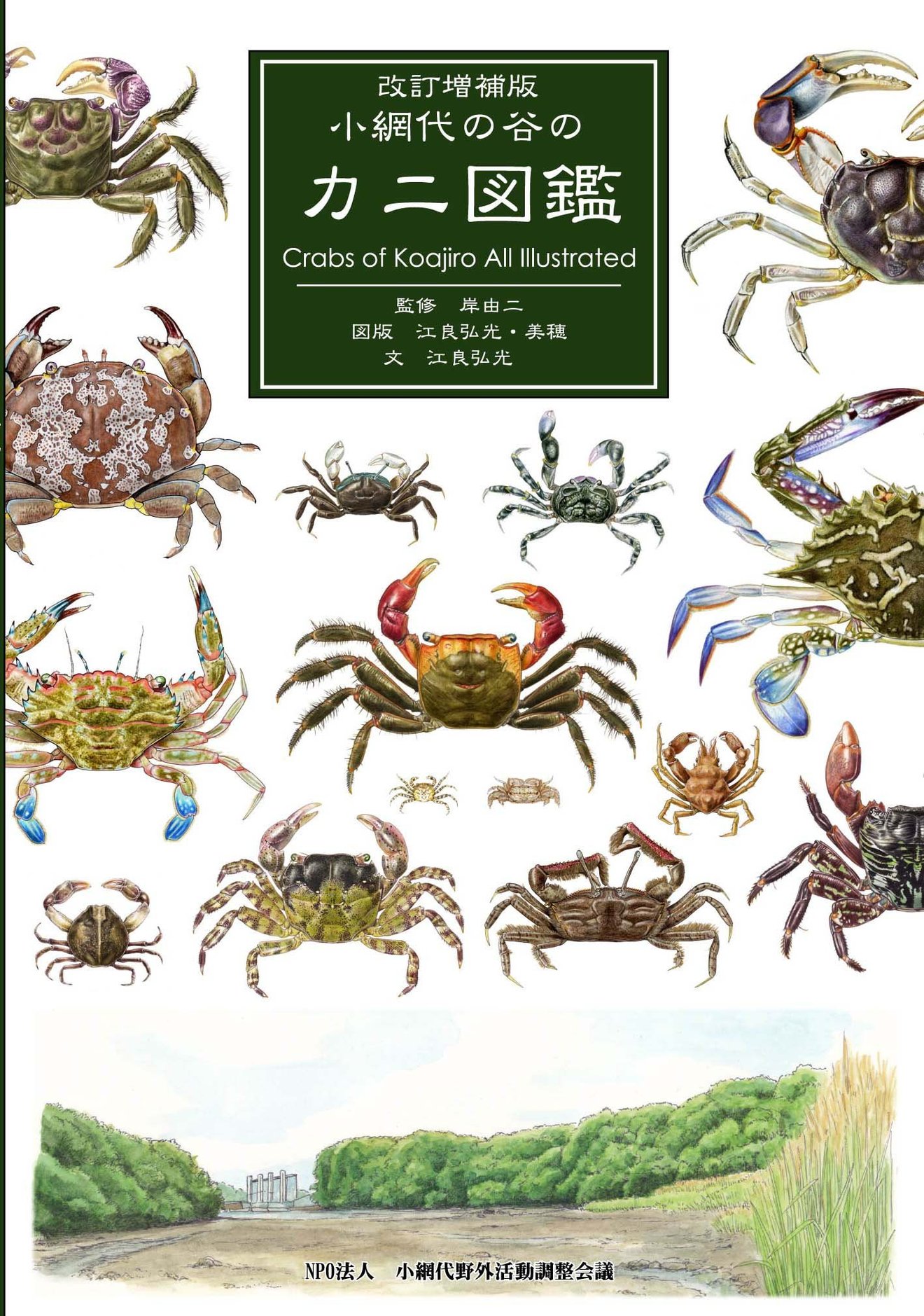 サワガニの生態から飼育方法を簡単に紹介 餌は何をあげる 教養も ホンシェルジュ