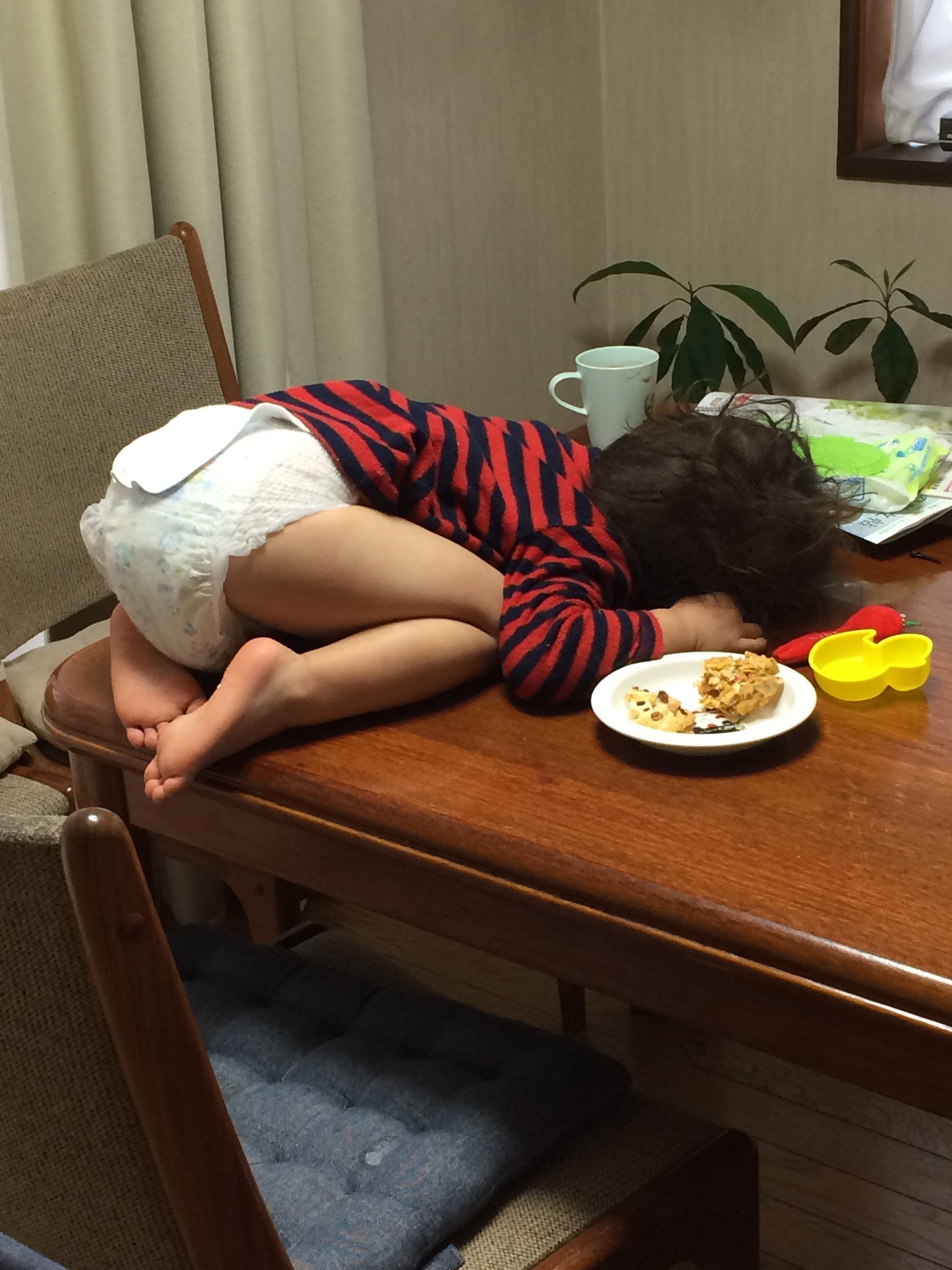 すべての母は、じょゆうである。~新・"やまゆう"のなまぬる子育て相談処~