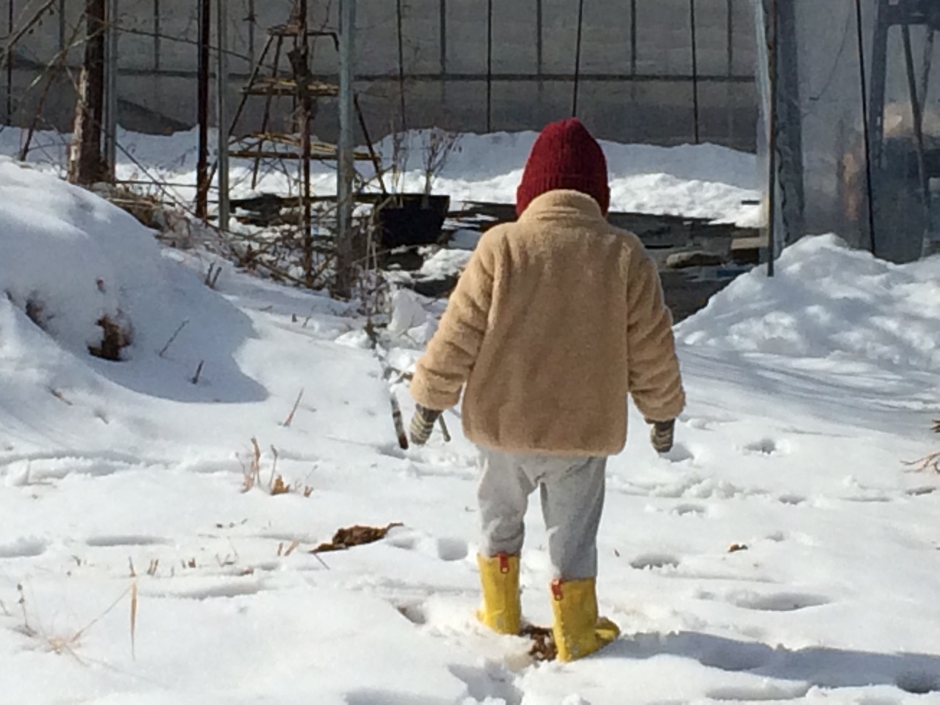 【最終回】鬼だのみ。~新・"やまゆう"のなまぬる子育て相談処~