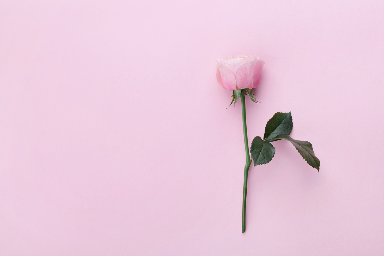 2019年の母の日はいつ?由来やお花、おすすめのプレゼントを紹介!