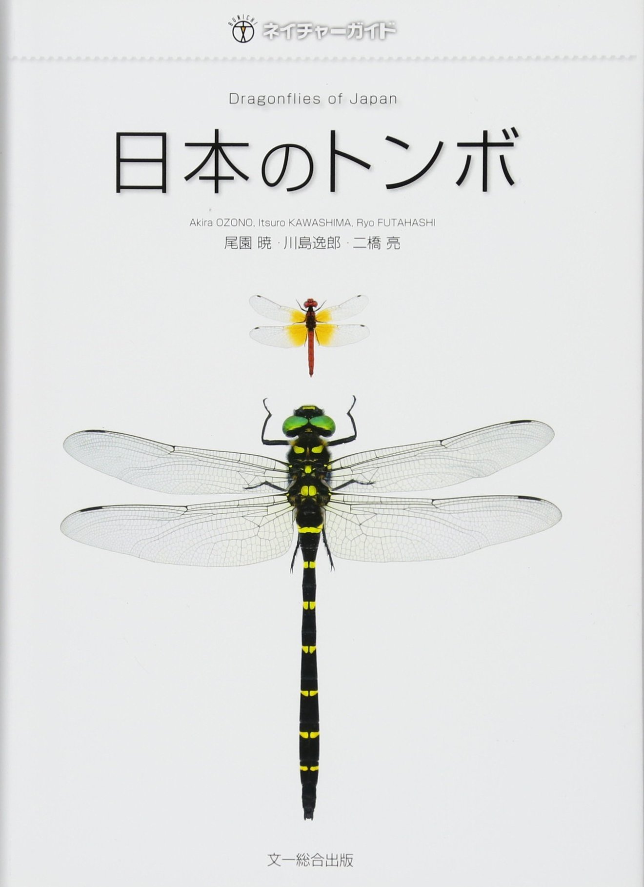 5分でわかるオニヤンマ スズメバチとどっちが強い 大きさや噛む力等