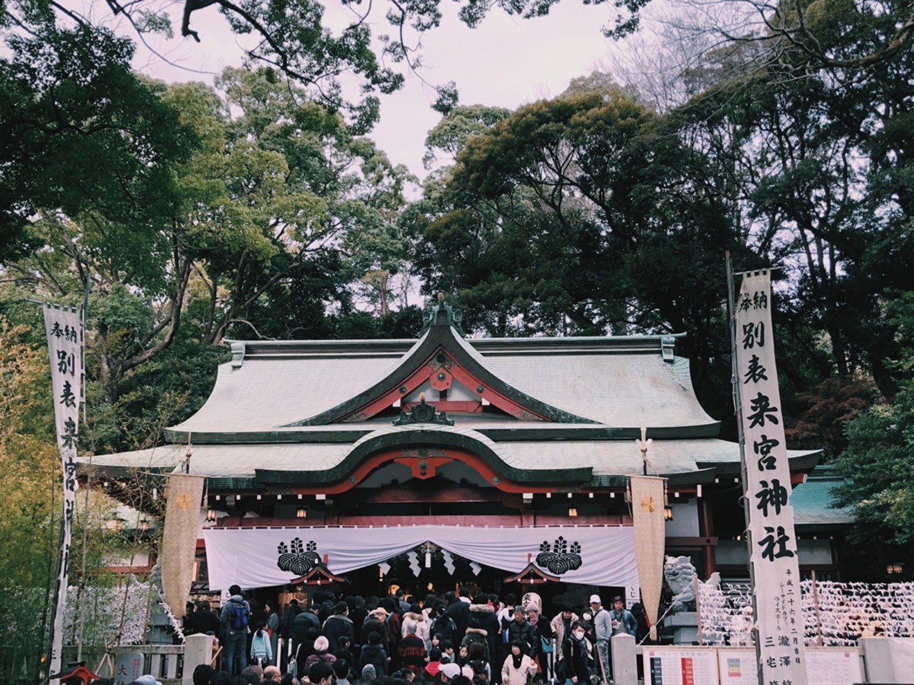 旅は道連れ? いや一人で良い、一人が良い。でも僕は、行かなくても良い。