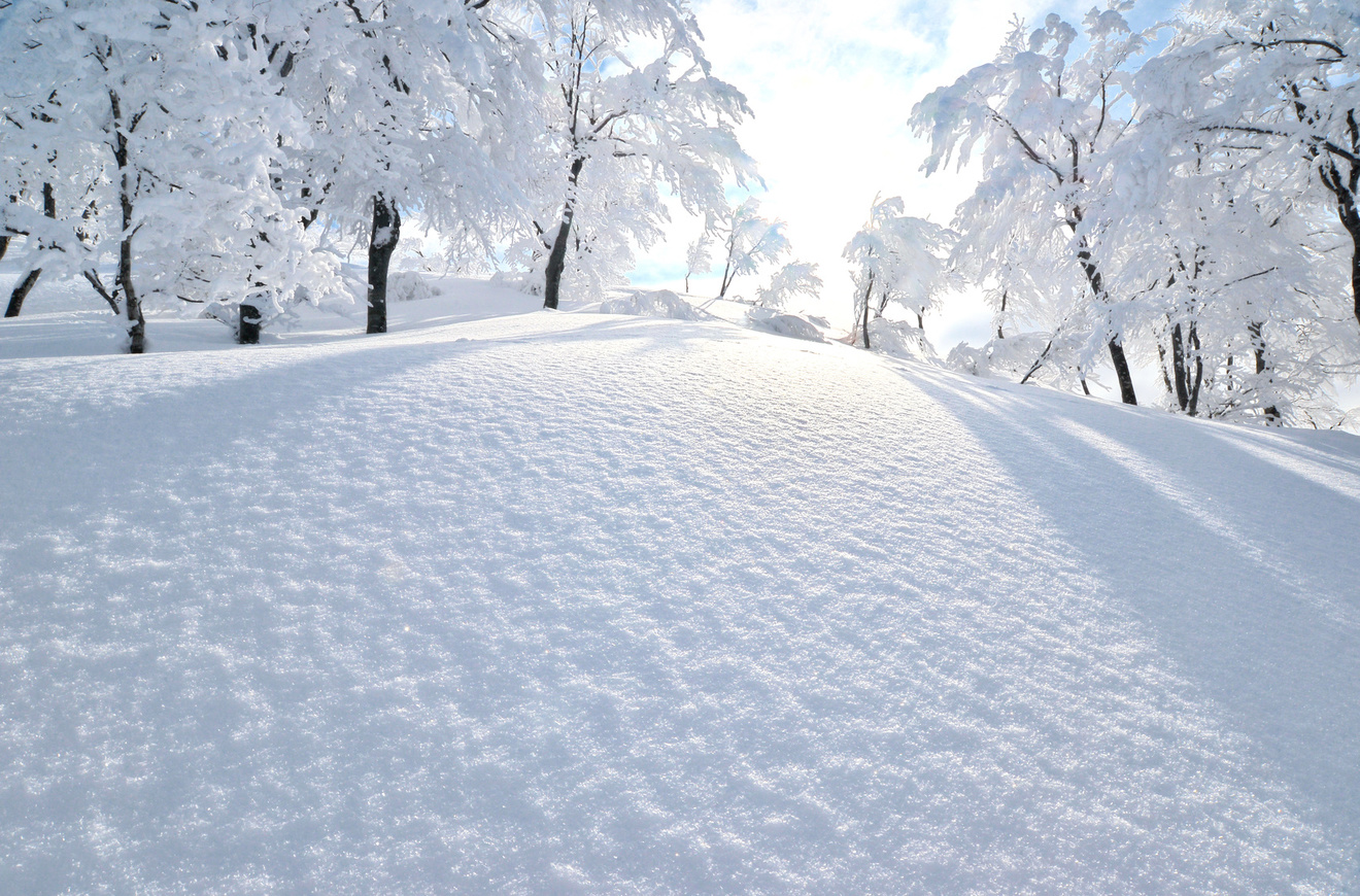 雪の山荘や館が舞台のミステリー小説おすすめ6選!クローズド・サークルの醍醐味!