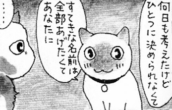 メロディ