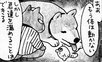 柴犬殿(ハッピー)