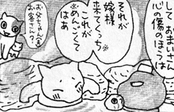 痔猫と嫁様