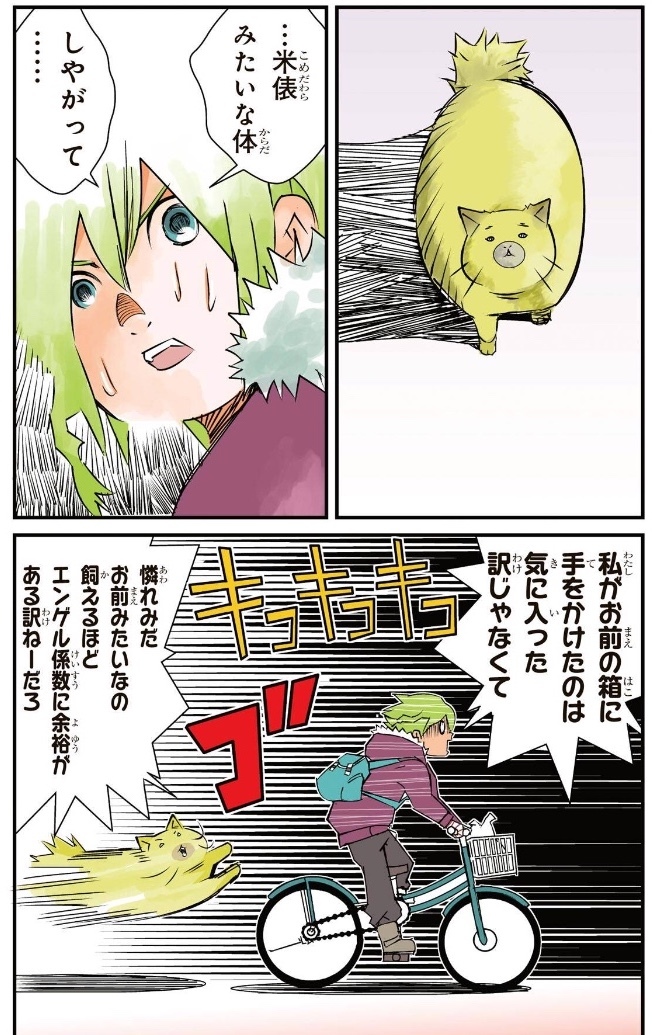 漫画『たわら猫とまちがい人生』あらすじ