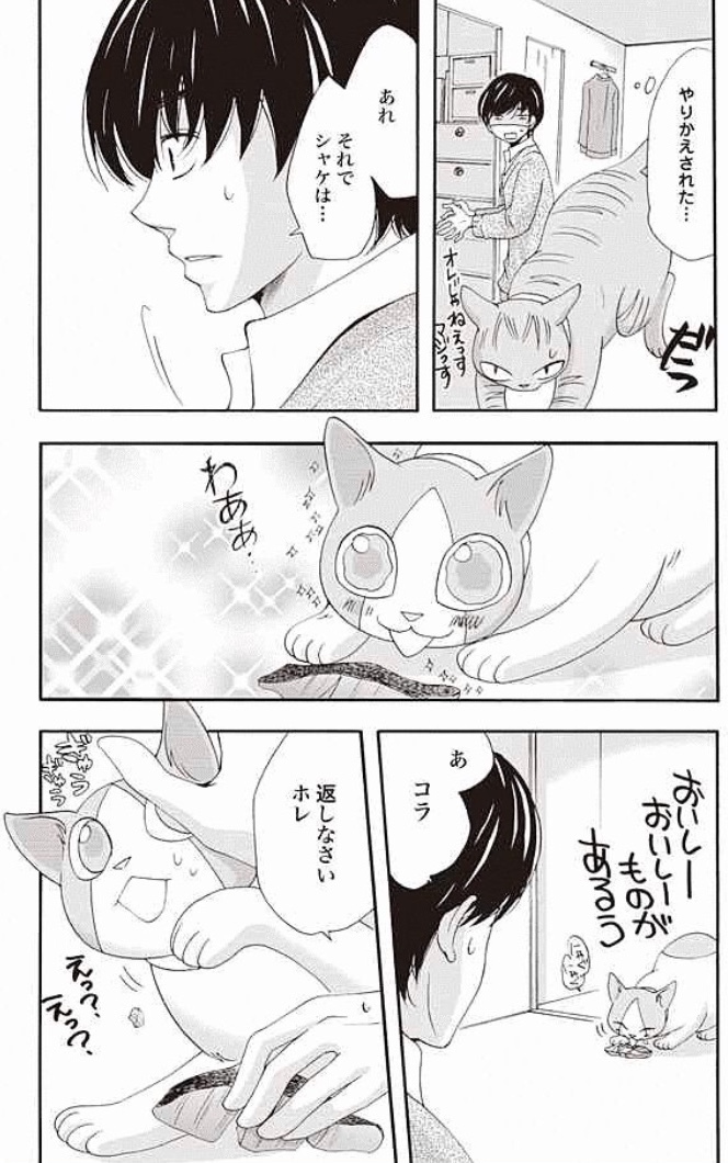 猫たちそれぞれのキャラが可愛くて癒される!