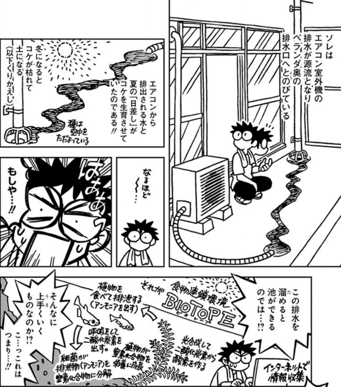 そもそも『ベランダビオトープ』って何?