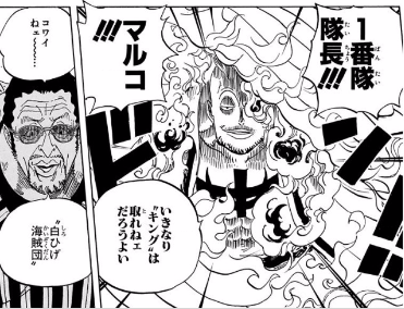 漫画『ワンピース』白ひげ海賊団メンバー一覧！ | ホンシェルジュ